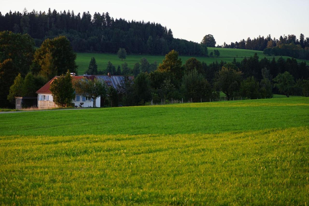 Knuschbrhaisle Oberreute Exterior foto